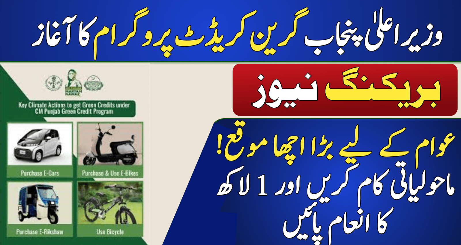 CM Punjab Green Credit Program 2025