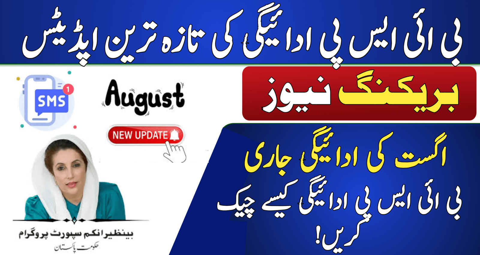 Check BISP Payment by CNIC