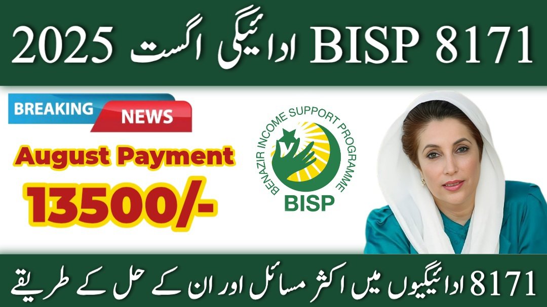 Frequent Issues in Ehsaas 8171 Payments and methods to Resolve Them